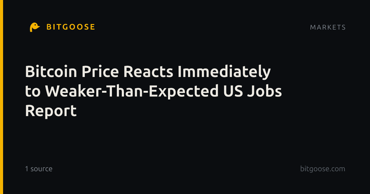 Bitcoin Price Reacts Immediately to Weaker-Than-Expected US Jobs Report