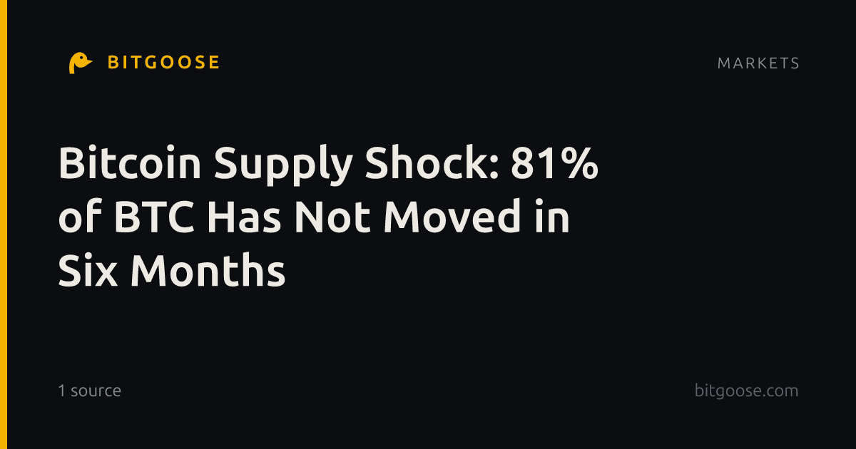 Bitcoin Supply Shock: 81% of BTC Has Not Moved in Six Months