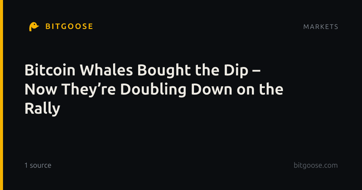 Bitcoin Whales Bought the Dip – Now They’re Doubling Down on the Rally