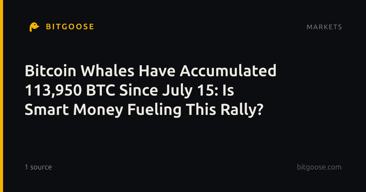 Bitcoin Whales Have Accumulated 113,950 BTC Since July 15: Is Smart Money Fueling This Rally?
