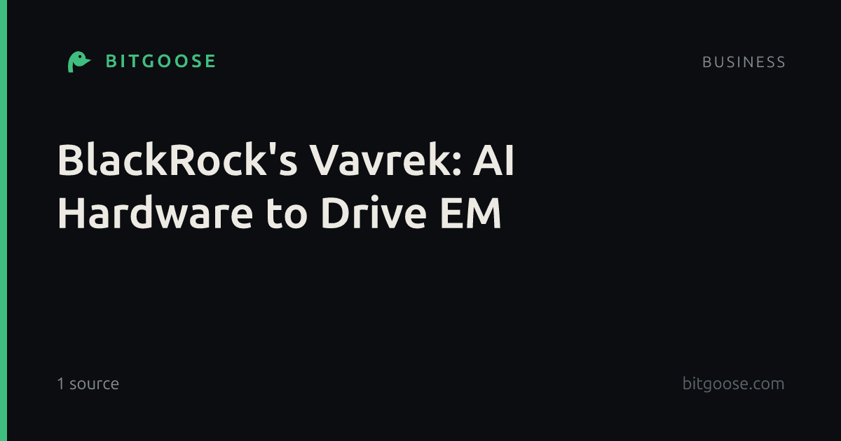BlackRock's Vavrek: AI Hardware to Drive EM