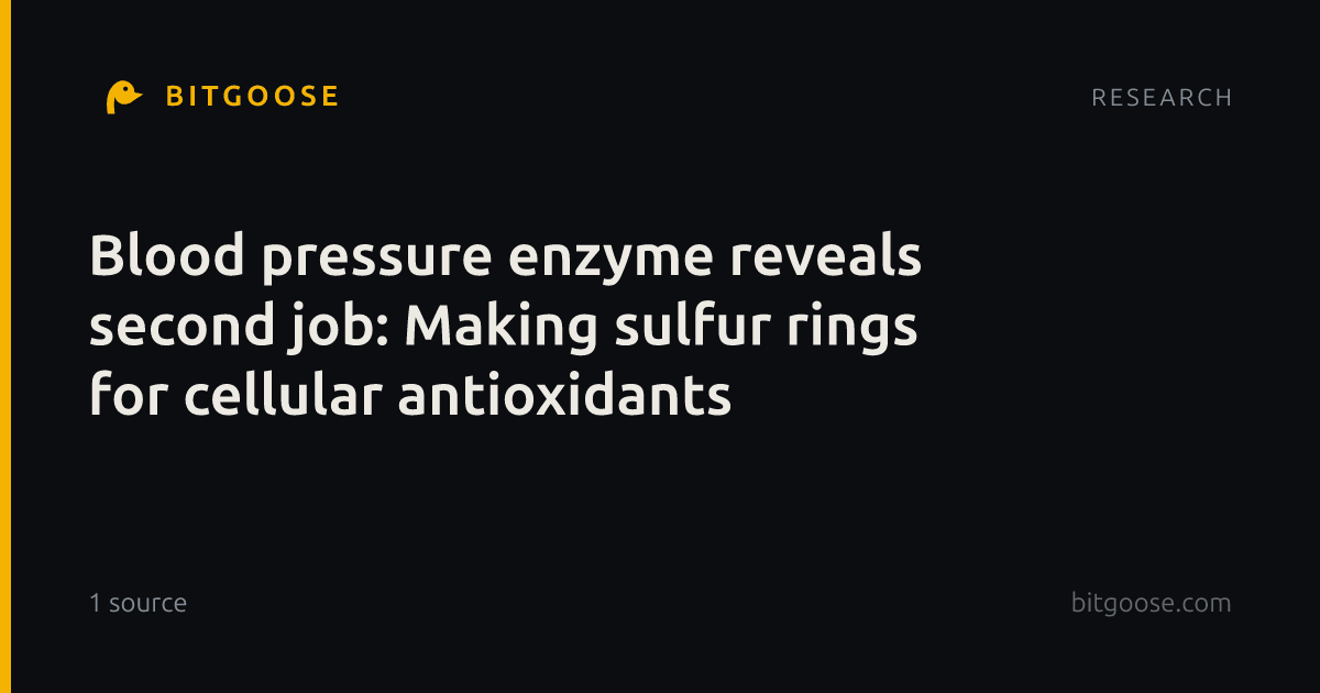 Blood pressure enzyme reveals second job: Making sulfur rings for cellular antioxidants