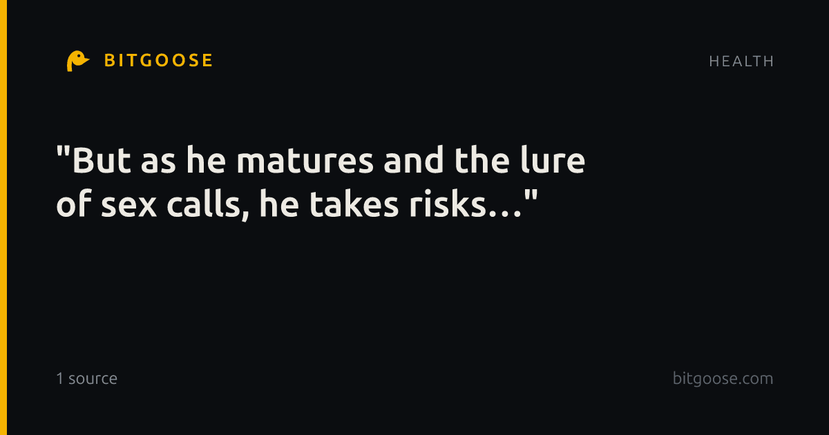 "But as he matures and the lure of sex calls, he takes risks…"
