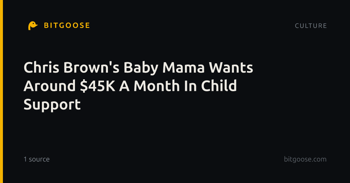 Chris Brown's Baby Mama Wants Around $45K A Month In Child Support