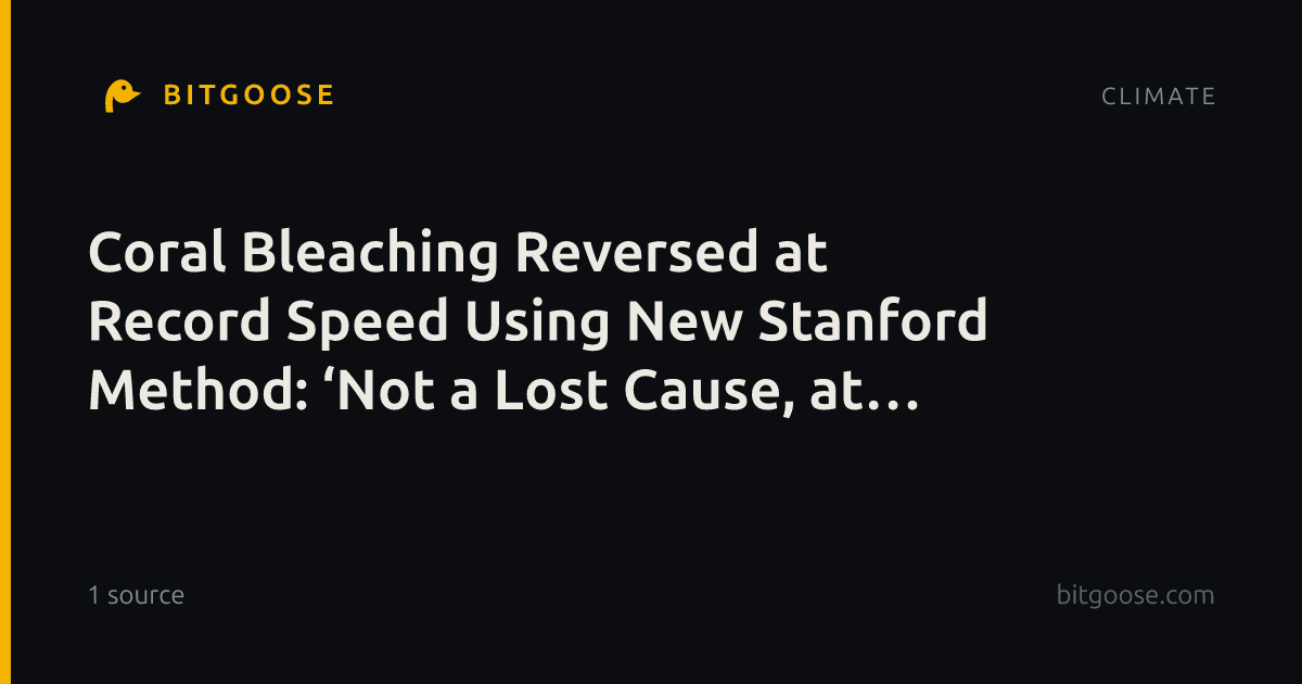 Coral Bleaching Reversed at Record Speed Using New Stanford Method: ‘Not a Lost Cause, at All’