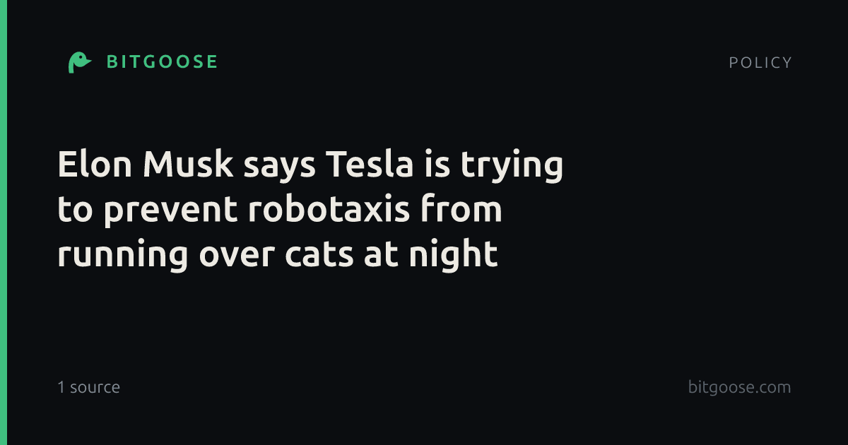 Elon Musk says Tesla is trying to prevent robotaxis from running over cats at night