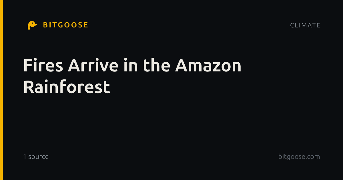 Fires Arrive in the Amazon Rainforest