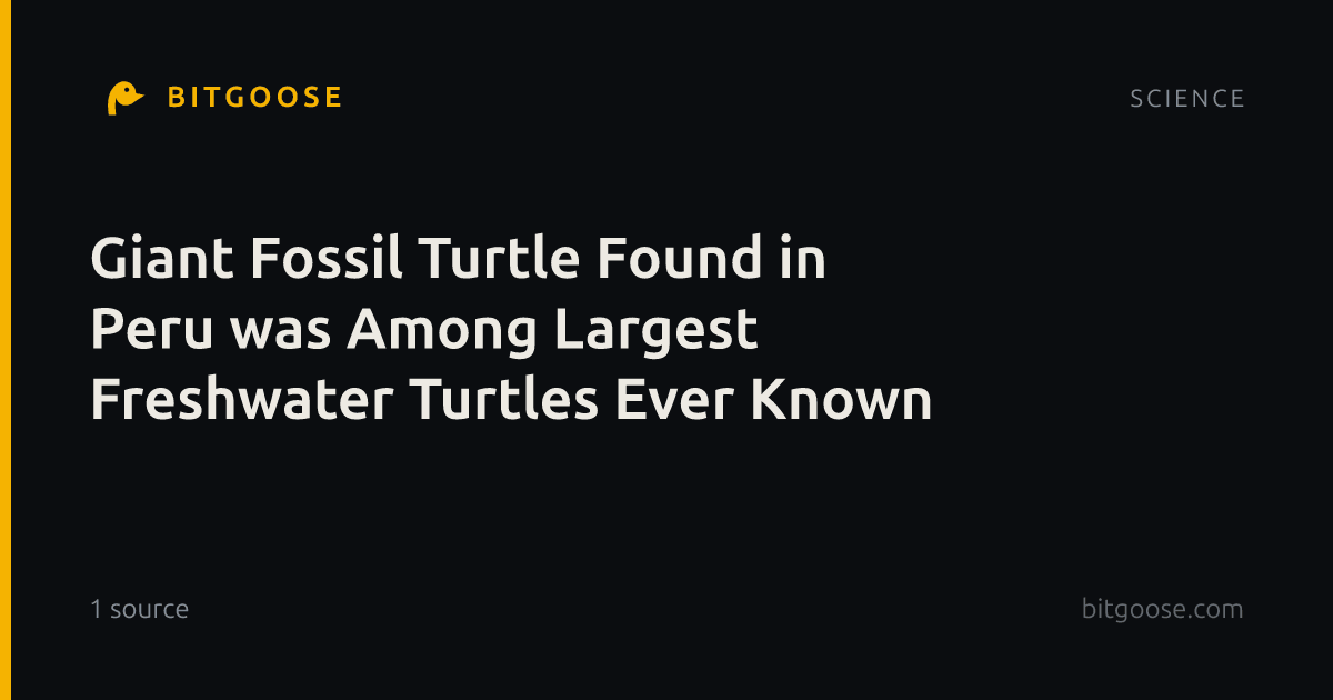 Giant Fossil Turtle Found in Peru was Among Largest Freshwater Turtles Ever Known