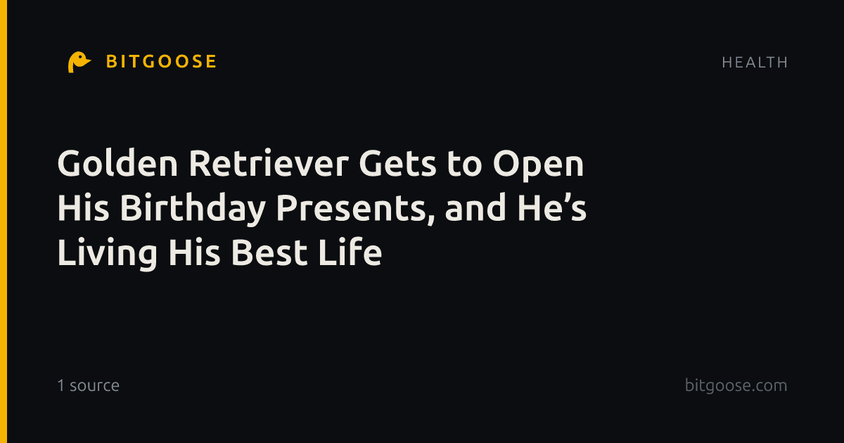 Golden Retriever Gets to Open His Birthday Presents, and He’s Living His Best Life