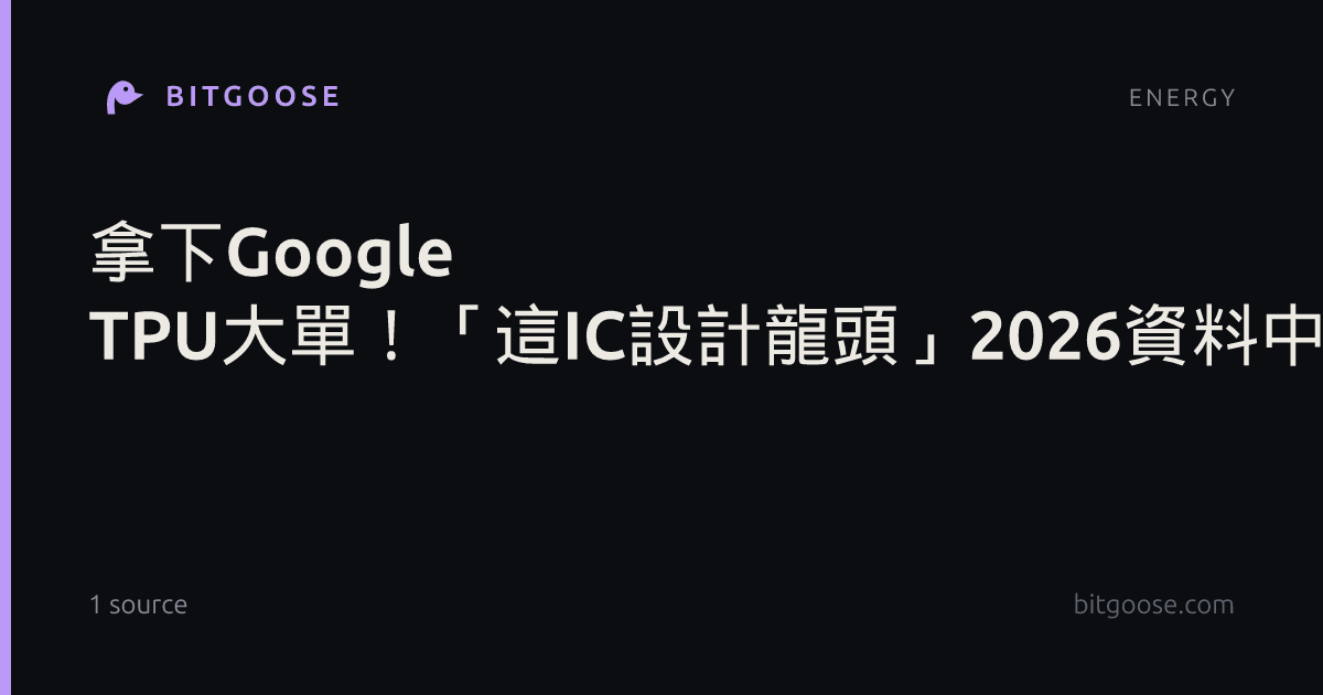拿下Google TPU大單！「這IC設計龍頭」2026資料中心營收上看逾20億元挾低軌衛星元晶、大眾控漲停噴出