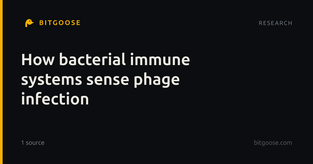 How bacterial immune systems sense phage infection