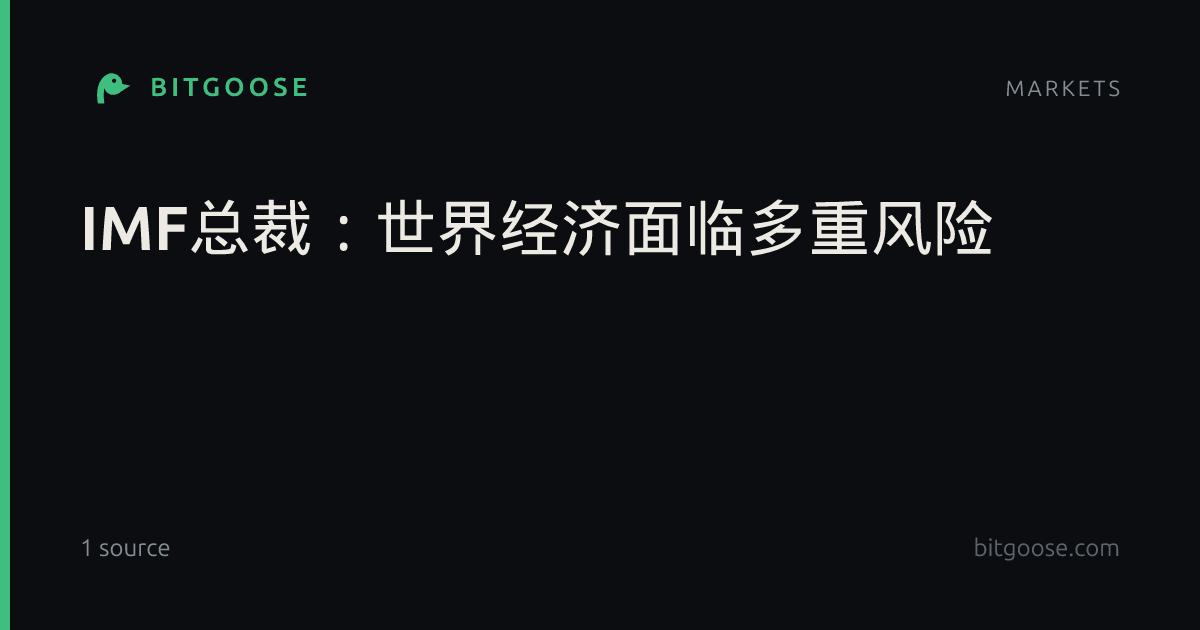 IMF总裁：世界经济面临多重风险