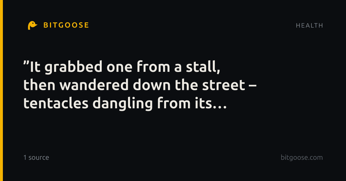 ”It grabbed one from a stall, then wandered down the street – tentacles dangling from its beak”