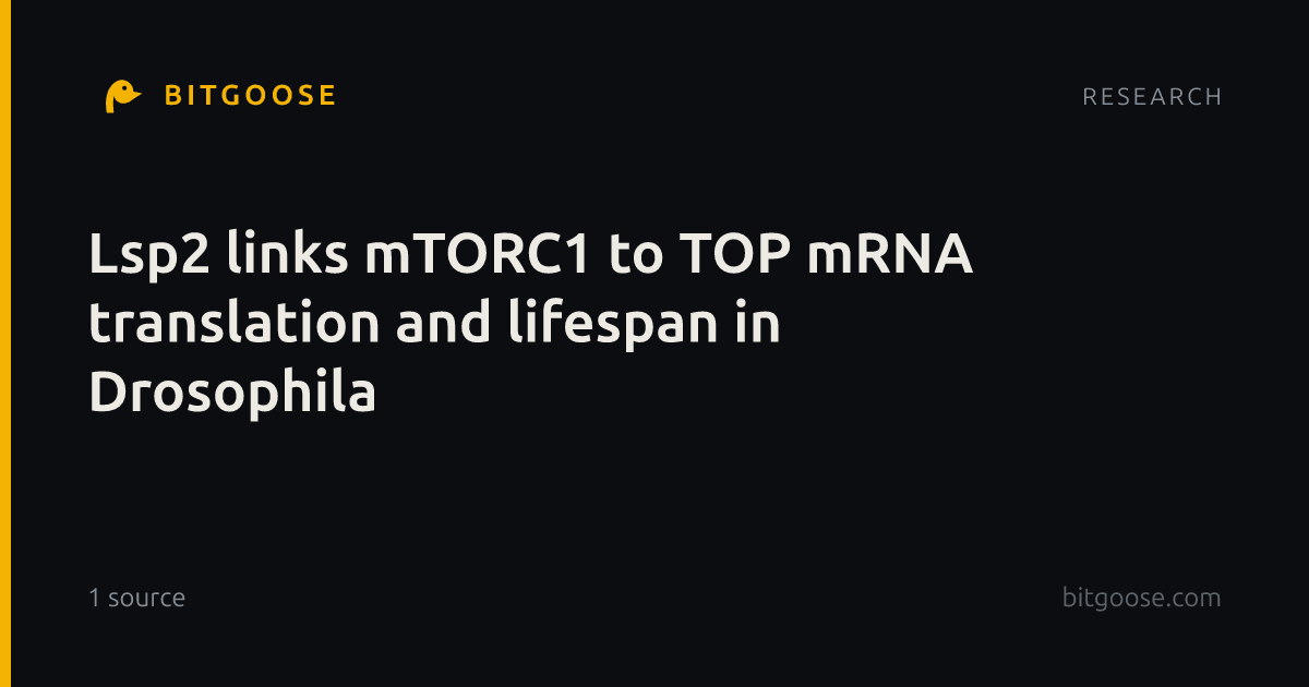 Lsp2 links mTORC1 to TOP mRNA translation and lifespan in Drosophila