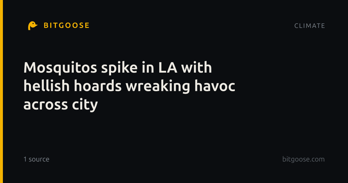 Mosquitos spike in LA with hellish hoards wreaking havoc across city
