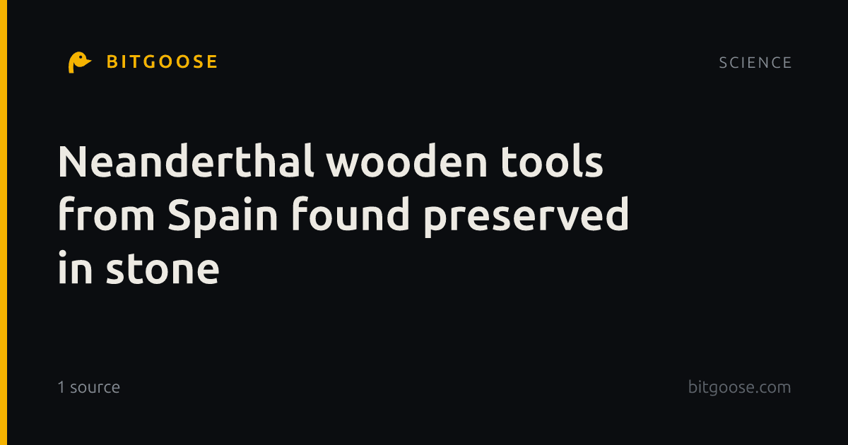 Neanderthal wooden tools from Spain found preserved in stone