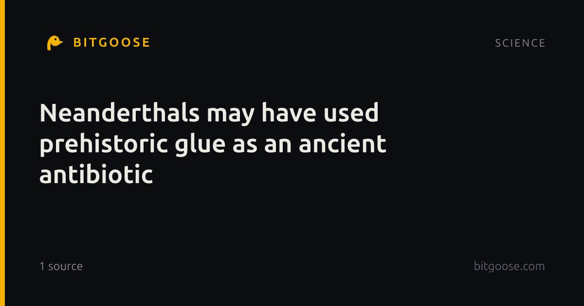 Neanderthals may have used prehistoric glue as an ancient antibiotic