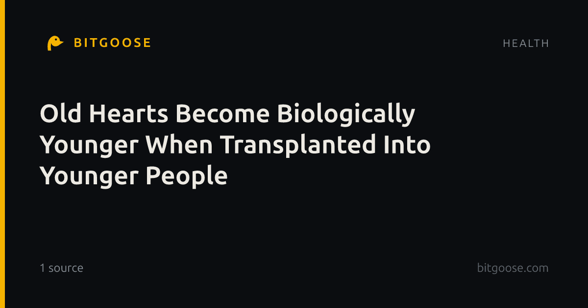 Old Hearts Become Biologically Younger When Transplanted Into Younger People