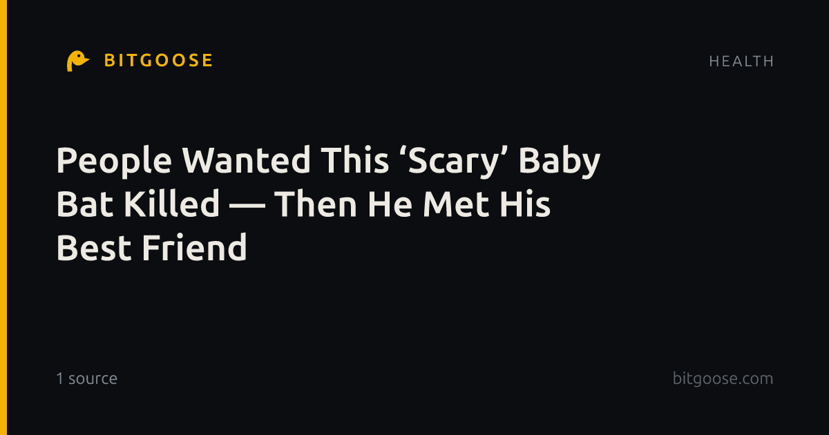 People Wanted This ‘Scary’ Baby Bat Killed — Then He Met His Best Friend