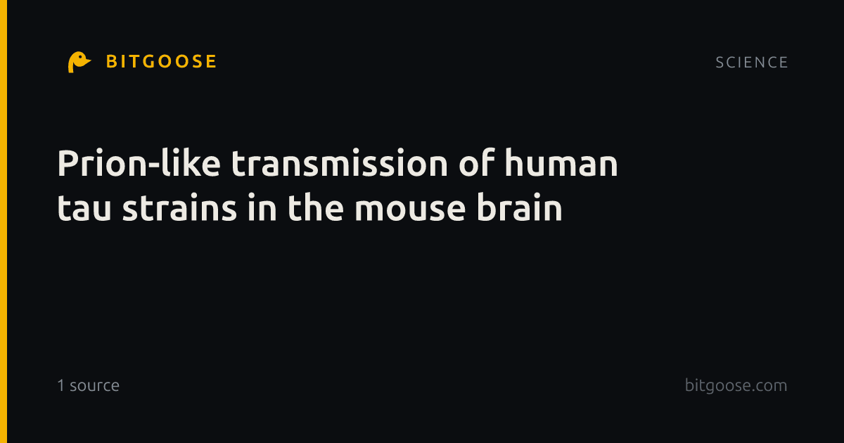 Prion-like transmission of human tau strains in the mouse brain