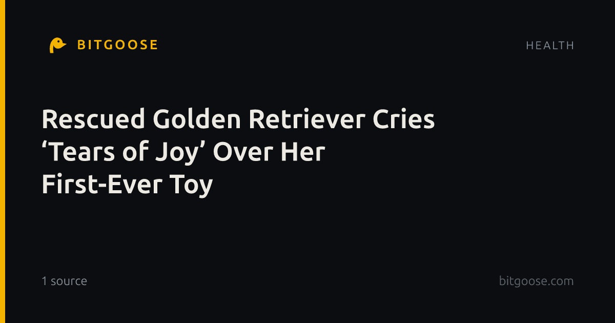 Rescued Golden Retriever Cries ‘Tears of Joy’ Over Her First-Ever Toy