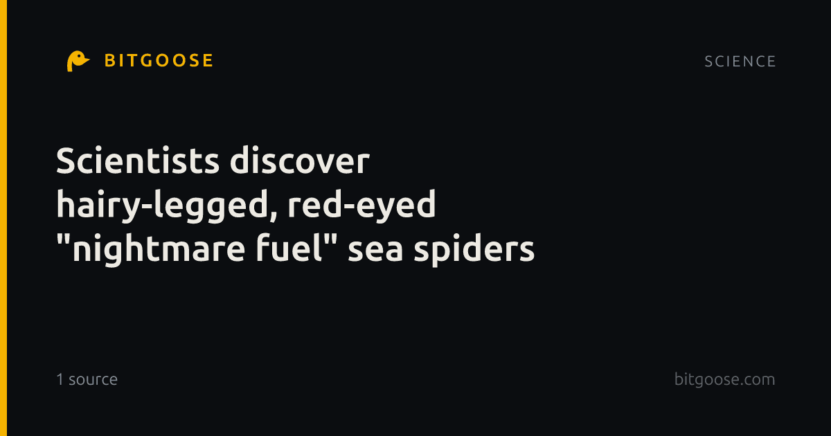 Scientists discover hairy-legged, red-eyed "nightmare fuel" sea spiders
