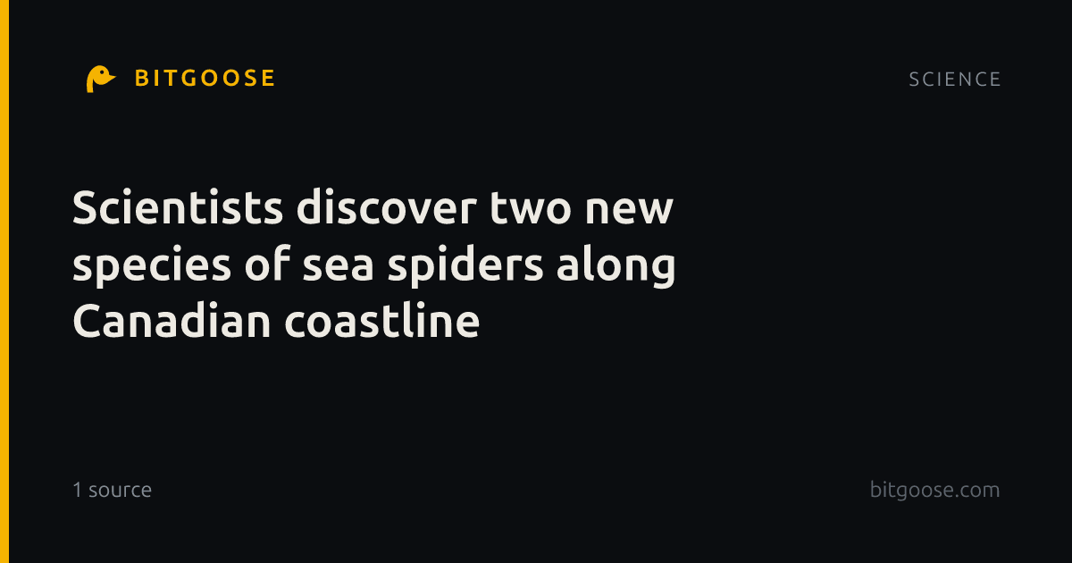 Scientists discover two new species of sea spiders along Canadian coastline