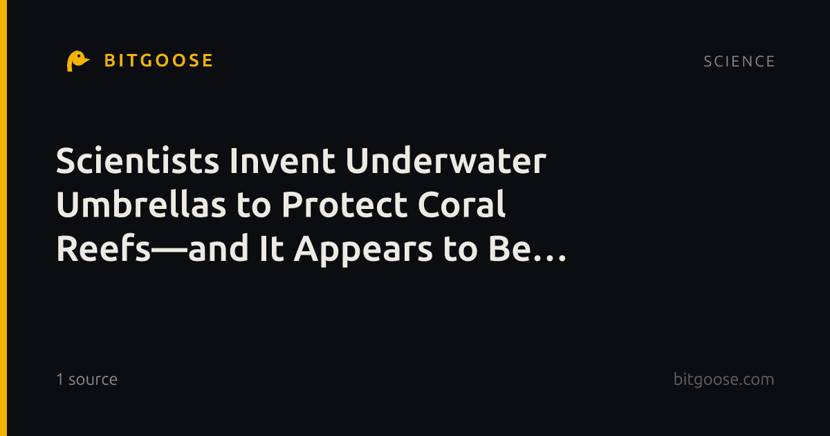 Scientists Invent Underwater Umbrellas to Protect Coral Reefs—and It Appears to Be Working