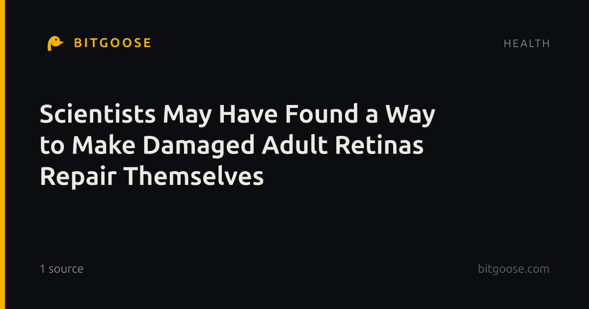Scientists May Have Found a Way to Make Damaged Adult Retinas Repair Themselves