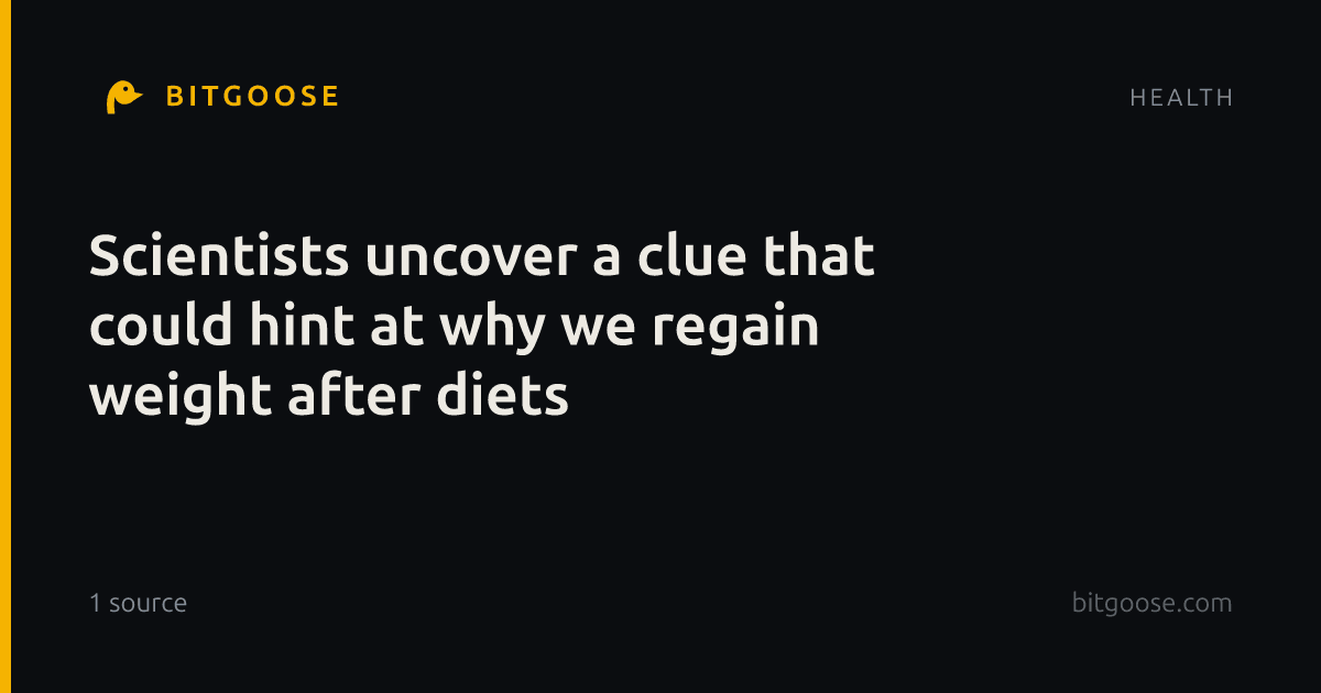 Scientists uncover a clue that could hint at why we regain weight after diets