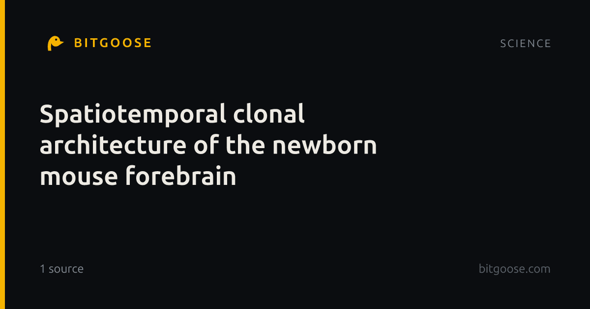 Spatiotemporal clonal architecture of the newborn mouse forebrain