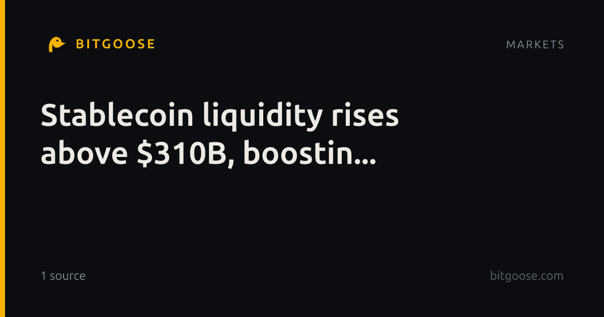 Stablecoin liquidity rises above $310B, boostin...