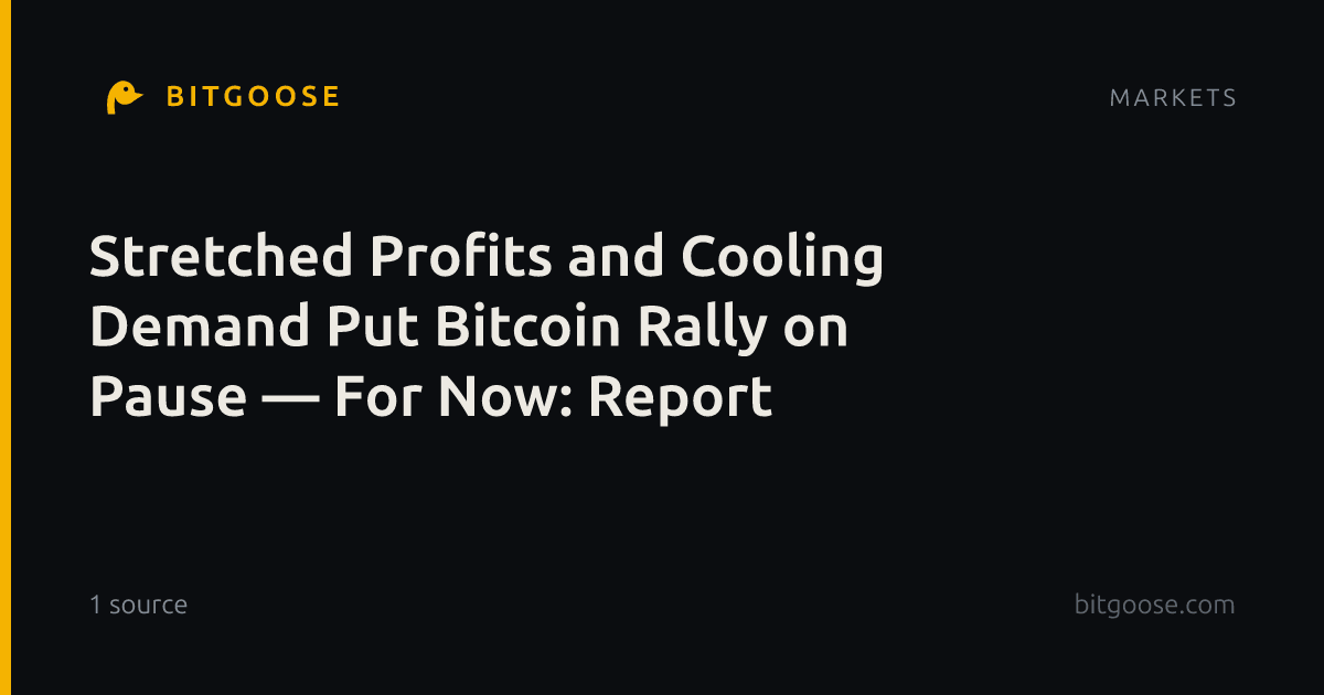 Stretched Profits and Cooling Demand Put Bitcoin Rally on Pause — For Now: Report
