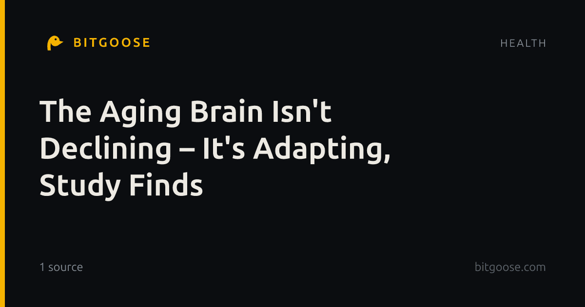 The Aging Brain Isn't Declining – It's Adapting, Study Finds