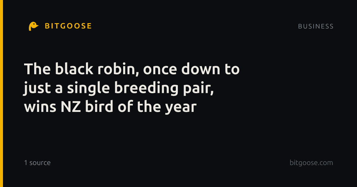 The black robin, once down to just a single breeding pair, wins NZ bird of the year