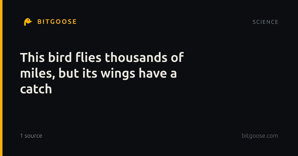 This bird flies thousands of miles, but its wings have a catch