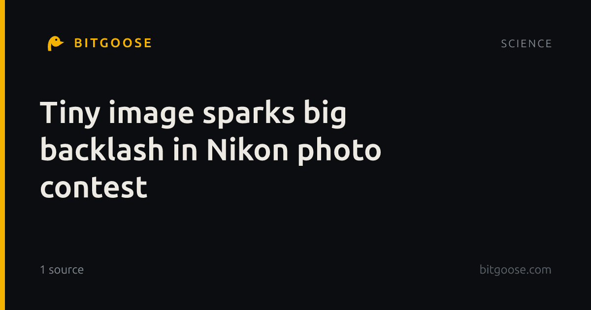 Tiny image sparks big backlash in Nikon photo contest