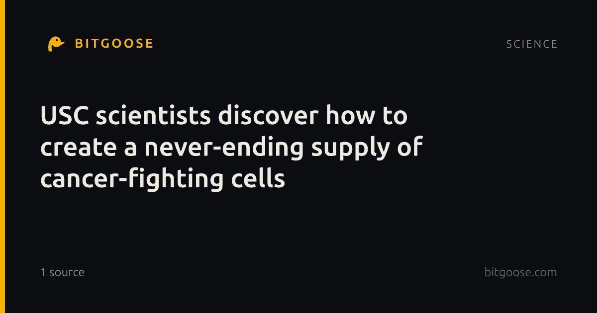 USC scientists discover how to create a never-ending supply of cancer-fighting cells