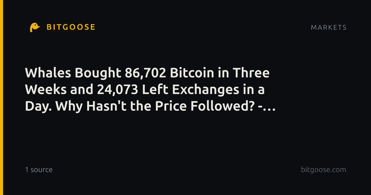 Whales Bought 86,702 Bitcoin in Three Weeks and 24,073 Left Exchanges in a Day. Why Hasn't the Price Followed? - 24/7 Wall St.