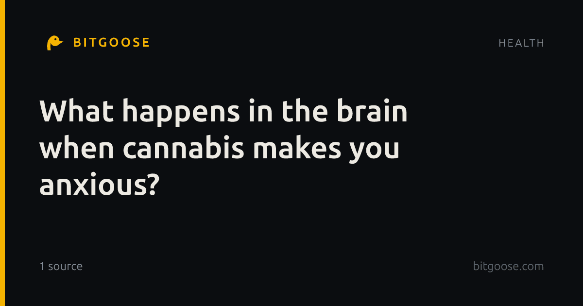 What happens in the brain when cannabis makes you anxious?