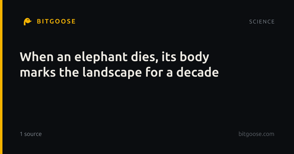 When an elephant dies, its body marks the landscape for a decade