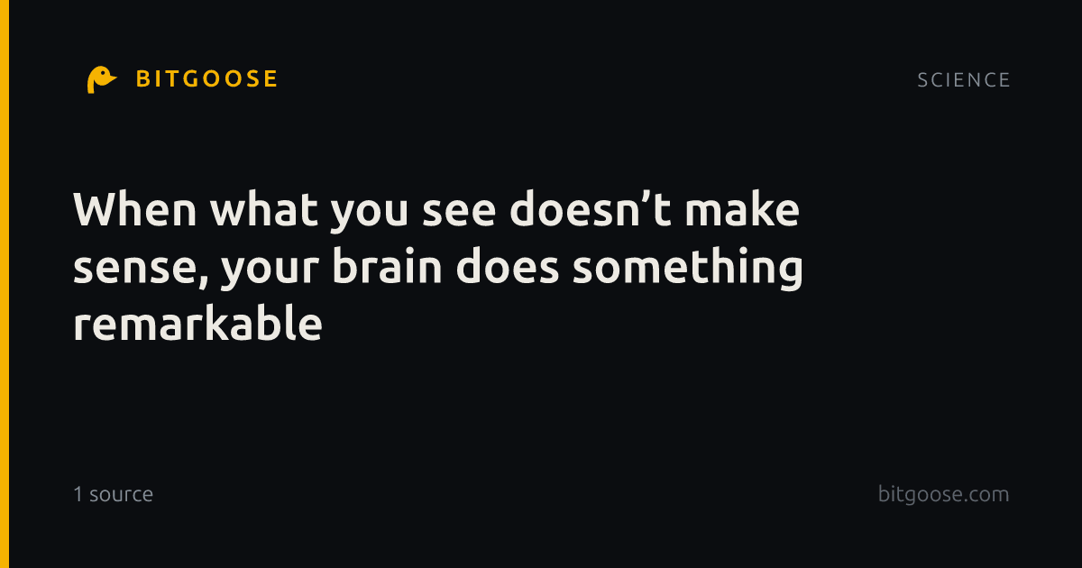 When what you see doesn’t make sense, your brain does something remarkable