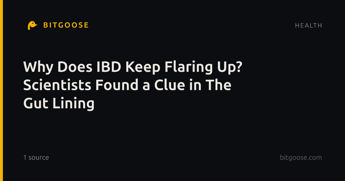 Why Does IBD Keep Flaring Up? Scientists Found a Clue in The Gut Lining