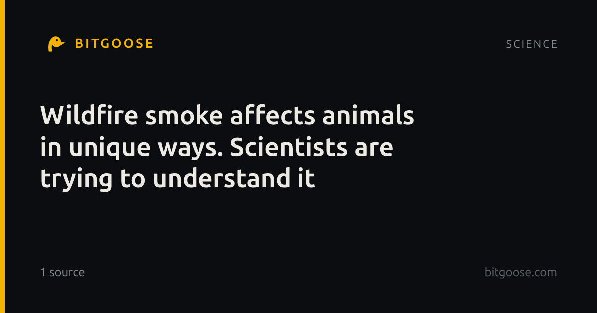Wildfire smoke affects animals in unique ways. Scientists are trying to understand it
