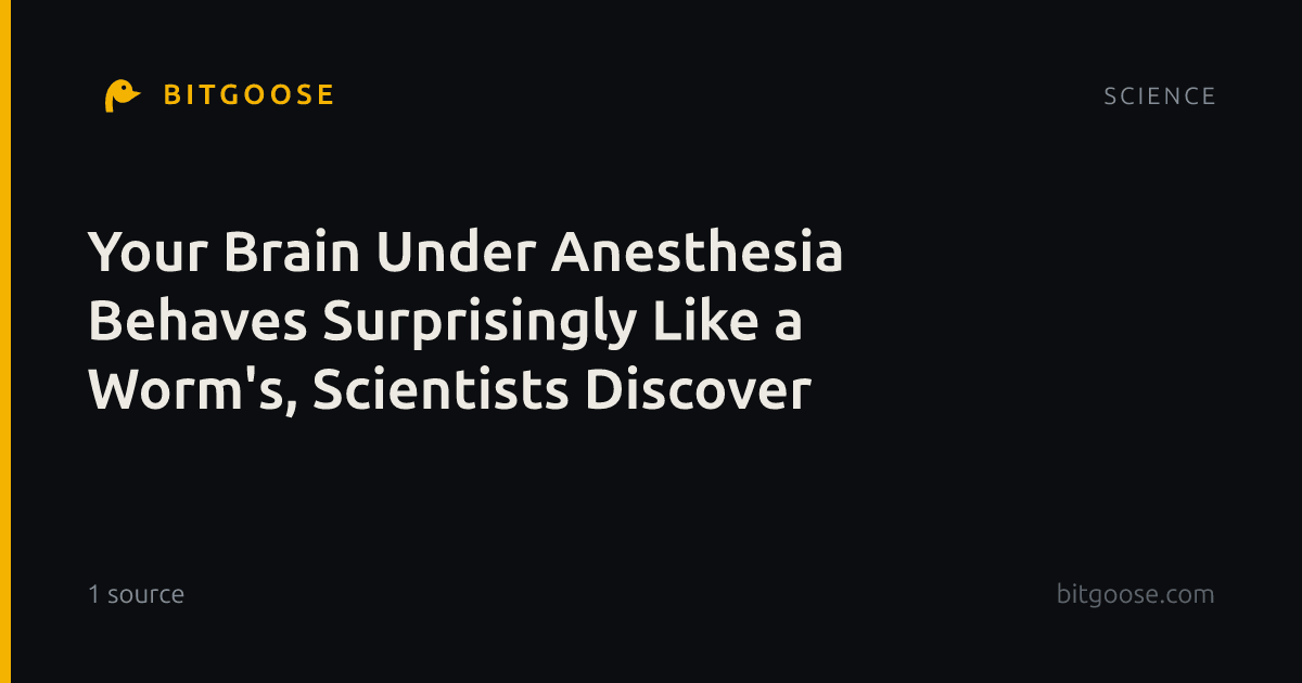 Your Brain Under Anesthesia Behaves Surprisingly Like a Worm's, Scientists Discover