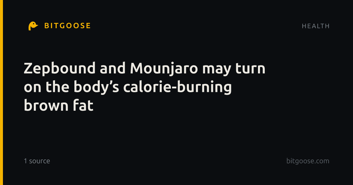 Zepbound and Mounjaro may turn on the body’s calorie-burning brown fat